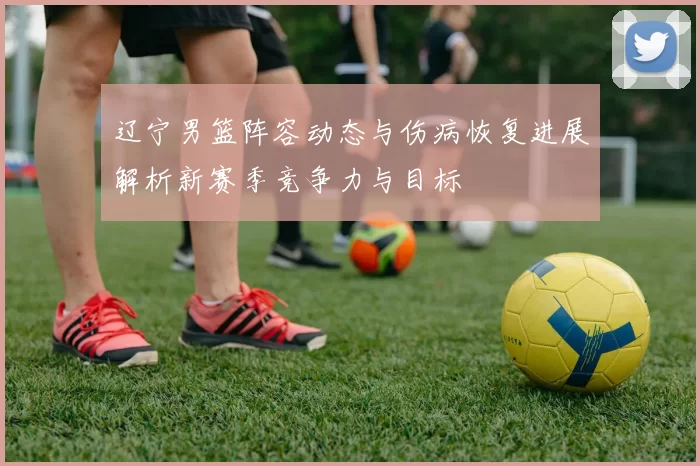 辽宁男篮阵容动态与伤病恢复进展解析新赛季竞争力与目标