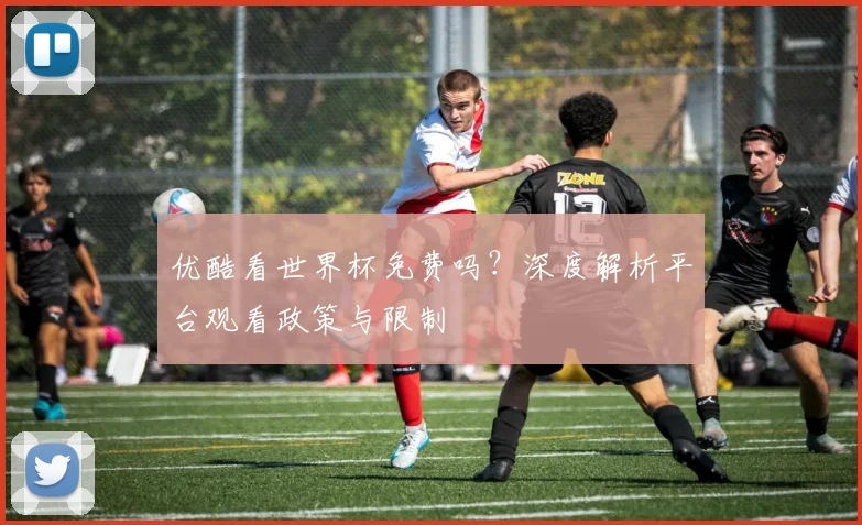 优酷看世界杯免费吗？深度解析平台观看政策与限制