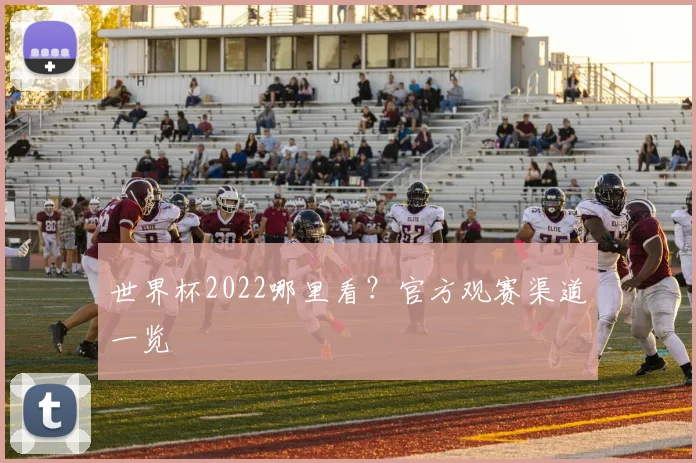 世界杯2022哪里看？官方观赛渠道一览