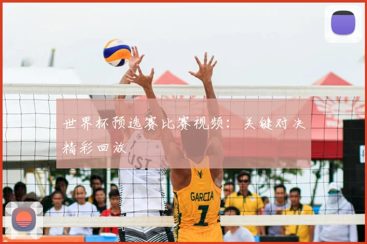 世界杯预选赛比赛视频：关键对决精彩回放