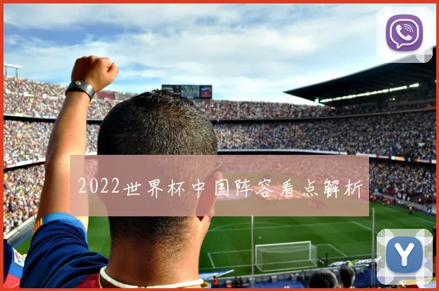 2022世界杯中国阵容看点解析