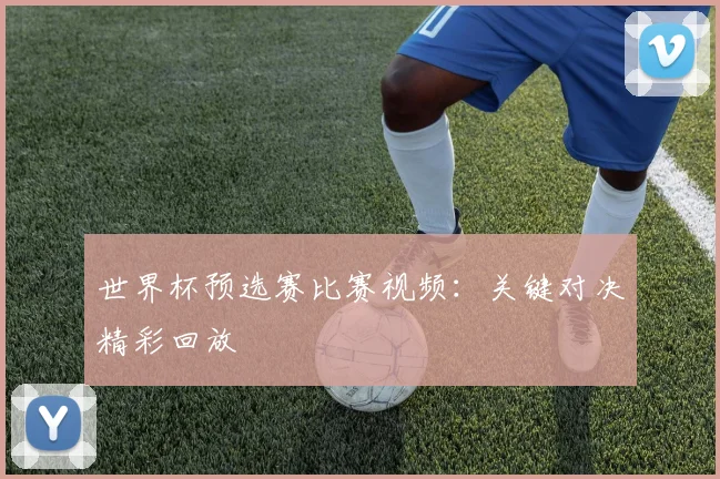 世界杯预选赛比赛视频:关键对决精彩回放