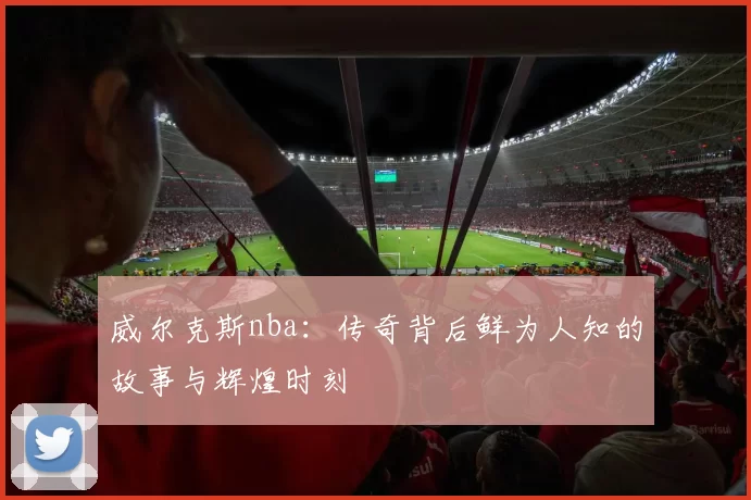 威尔克斯nba：传奇背后鲜为人知的故事与辉煌时刻