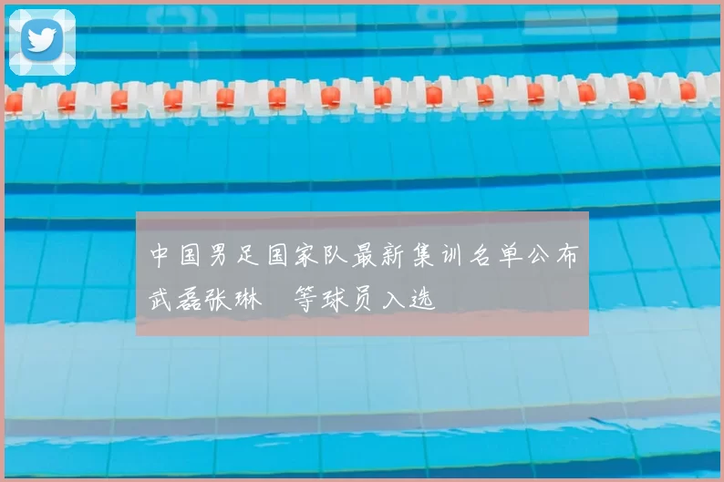 中国男足国家队最新集训名单公布武磊张琳芃等球员入选